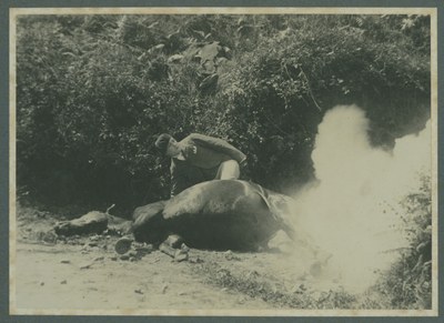 Fotograma de la película. Museo Vasco de Baiona