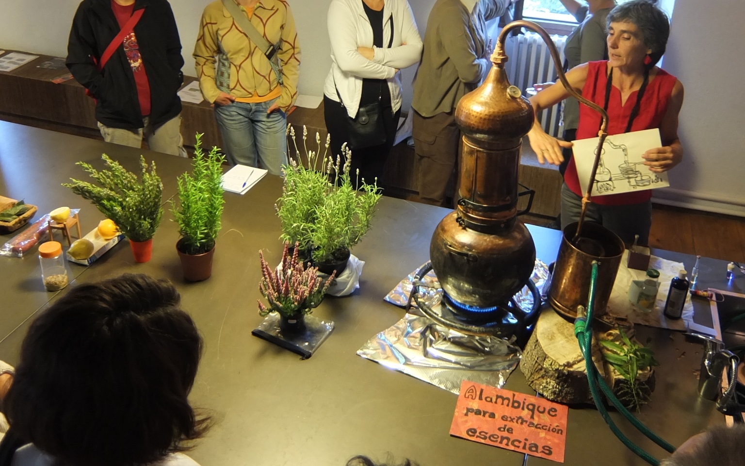 Taller de elaboración de perfumes naturales