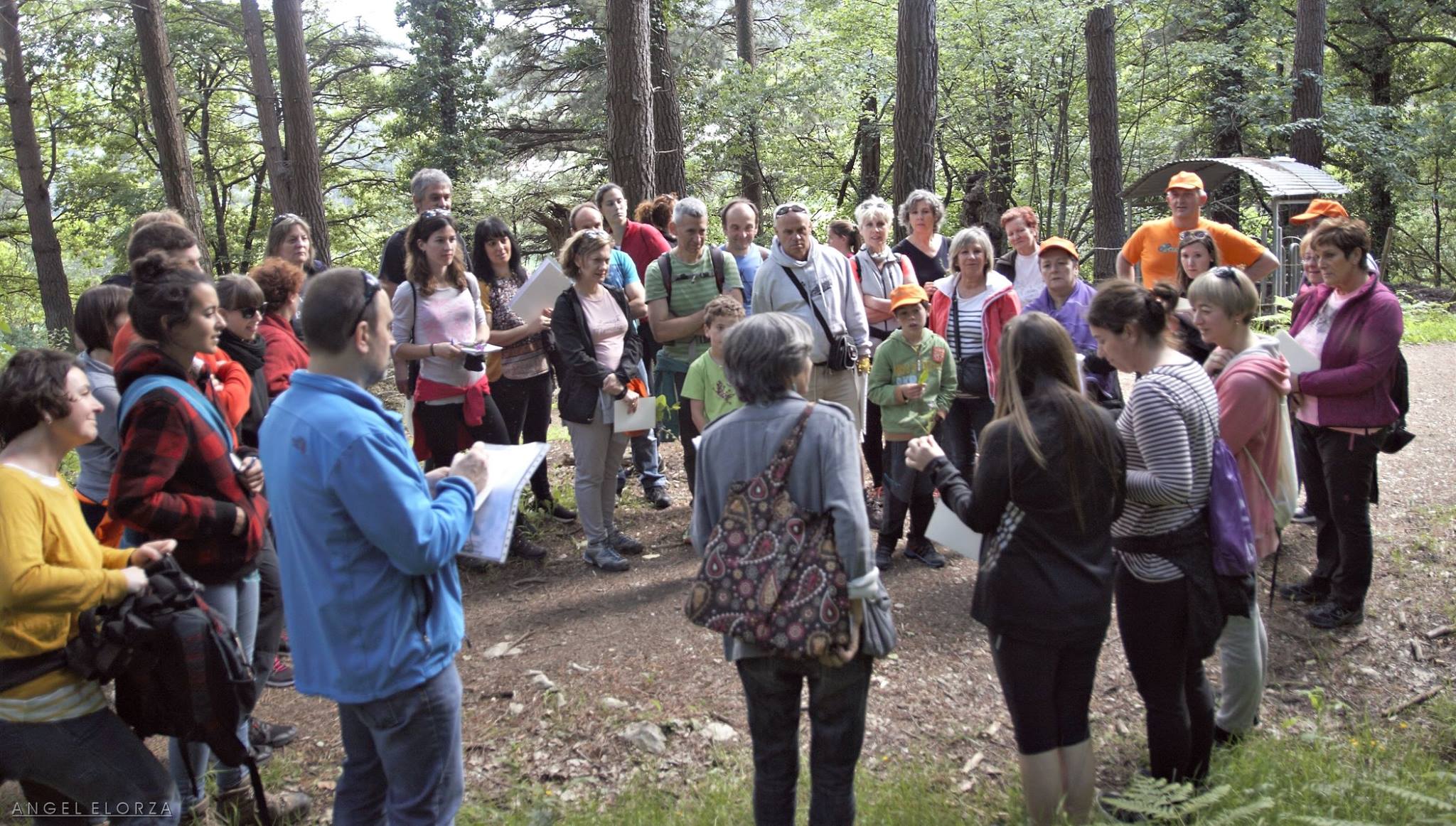 Día de la Vía Verde Mutiloa-Ormaiztegi: conociendo las plantas que tenemos en nuestro entorno