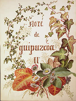 24_ZM_Didier_Petit_de_Meurville_Flore_ de Guipuzcoa II