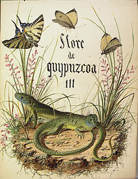 24_ZM_Didier_Petit_de_Meurville_Flore_de Guipuzcoa III