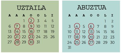 Trenzubira bisita gidatuen datak