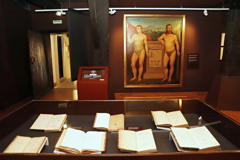 Erakusketaren irudia