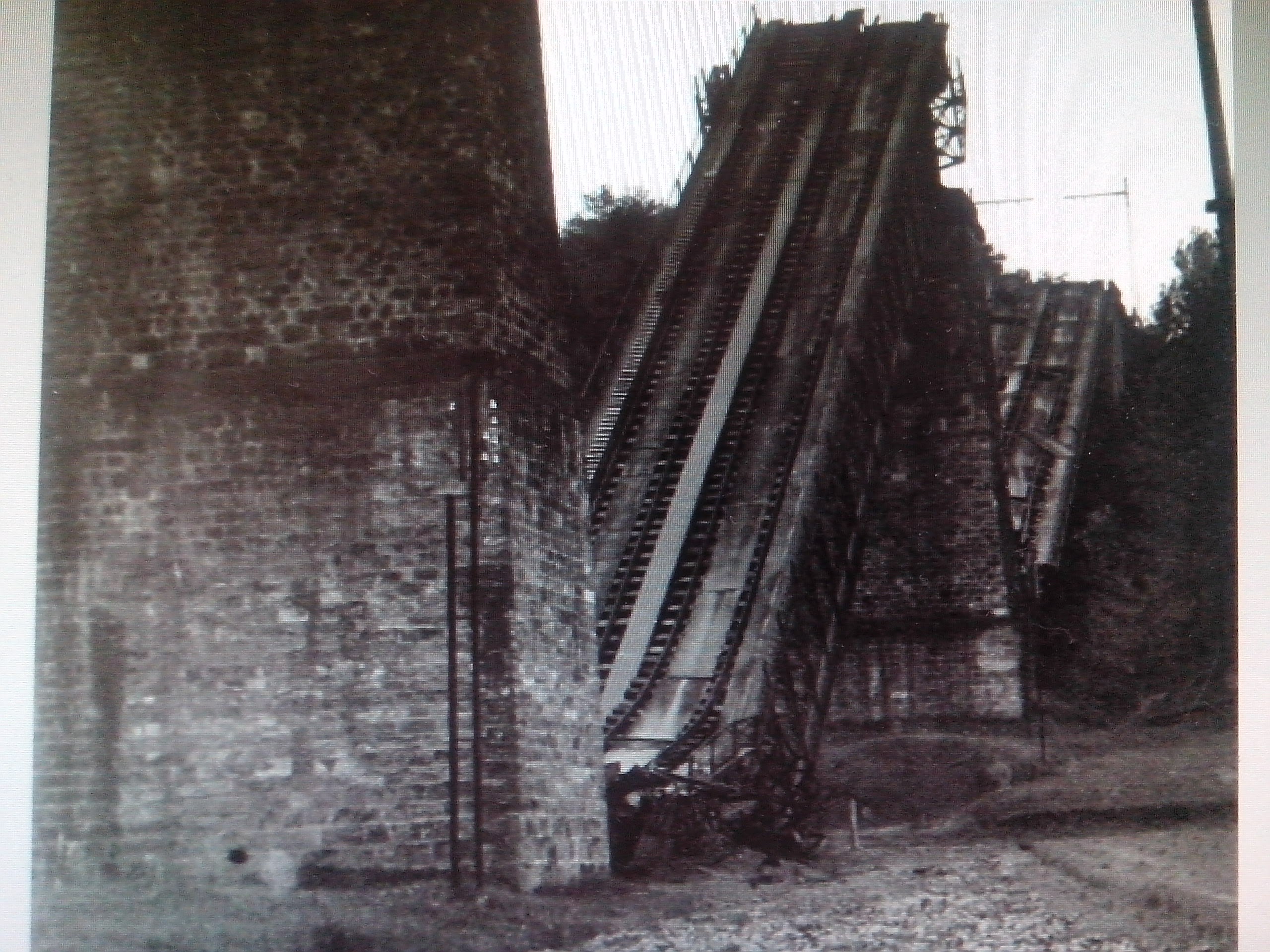 Trenzubia 1936an