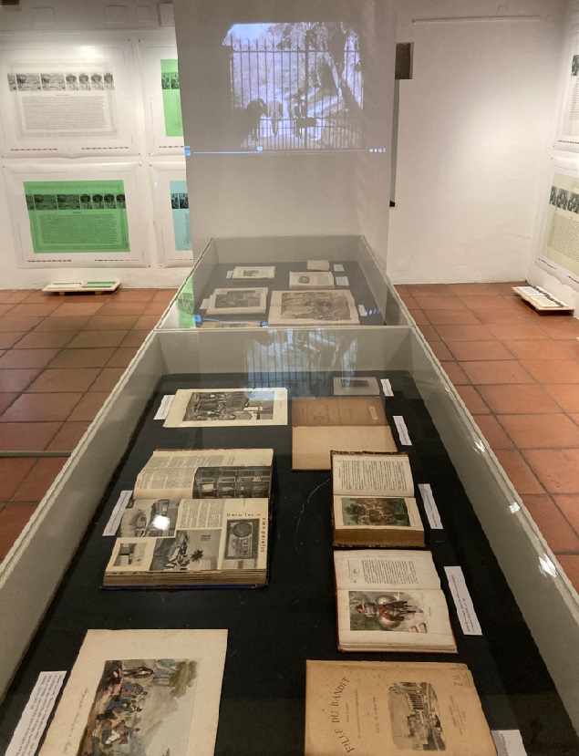 Scenario: Zorraren Z