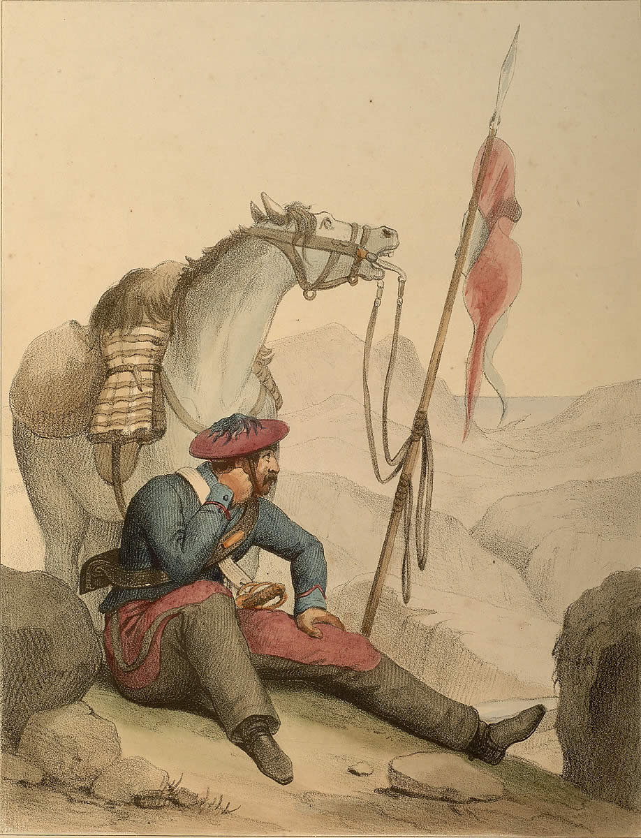 Vanzeller. Arabako zalditeria